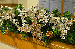 QUAIL PARK OF LYNNWOOD